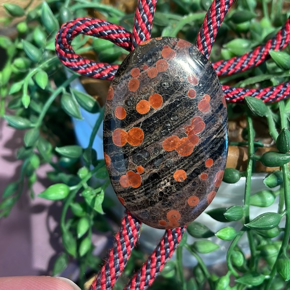 Vintage bolo tie - Picture 8 of 8